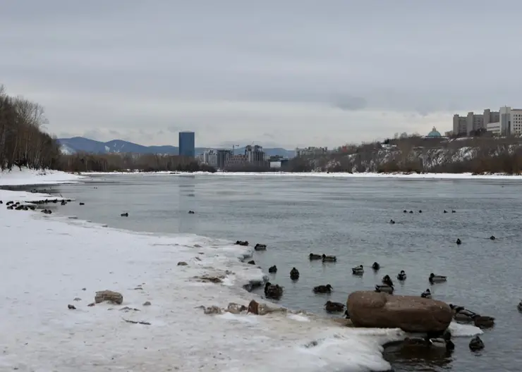 Специалисты прогнозируют аномально теплый март в Красноярске