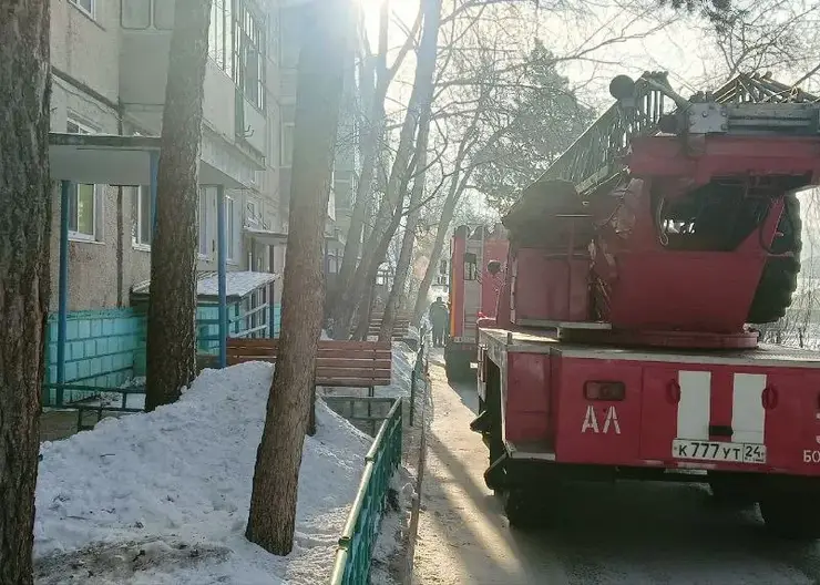 В Красноярском крае в январе при пожарах погибли 18 человек