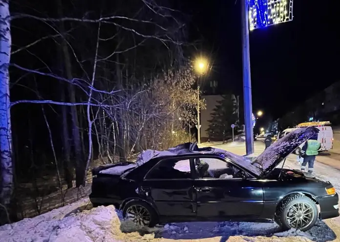 В Дивногорске водитель на Toyota Chaser врезался в столб и погубил двух пассажиров