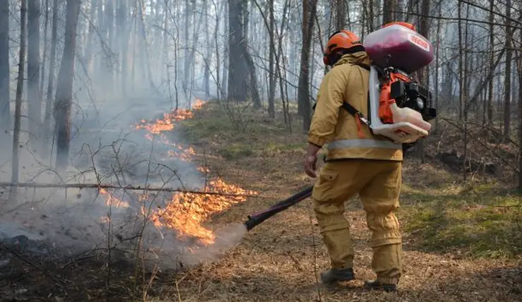На юге Красноярского края зафиксировали первые лесные пожары