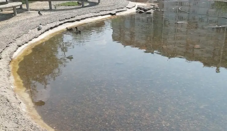 В Красноярске почти заполнили пруд в парке имени 400-летия города
