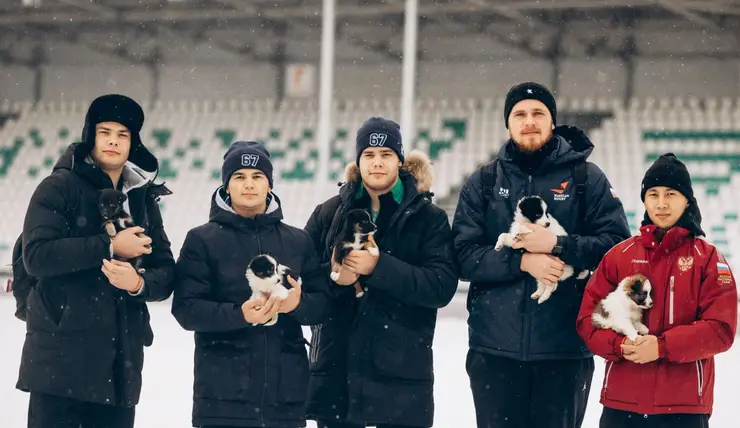 Красноярские регбисты «Красного Яра» провели милую фотосессию с щенками из приюта