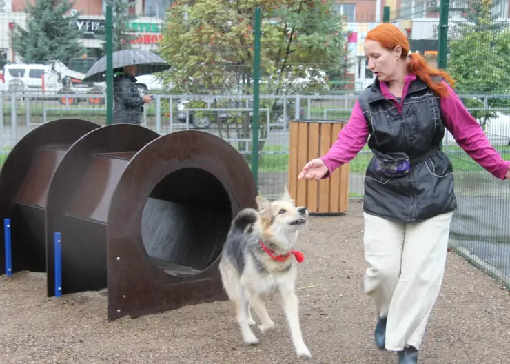 В Красноярске открыли площадку для выгула собак в сквере на месте бывшего Казачьего рынка