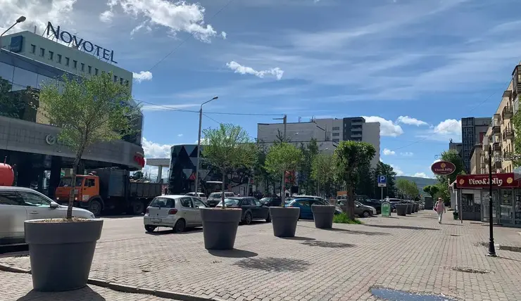 В центре Красноярска установили большие кашпо с вязами
