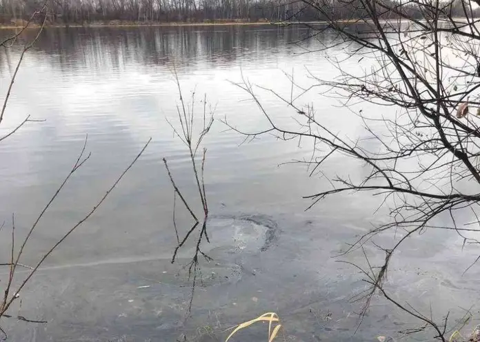 Около поселка Красноярского края заметили масляные пятна на Енисее