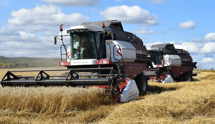 Красноярский край вновь стал лидером по урожайности зерна в СФО