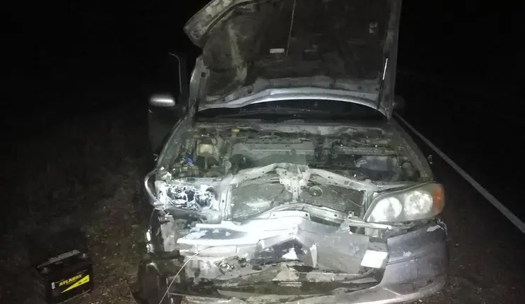 В Красноярском крае в ДТП с мотоблоком погибли два человека