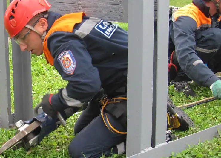 В Красноярском крае спасатели вызволили котенка из-под бетонной плиты