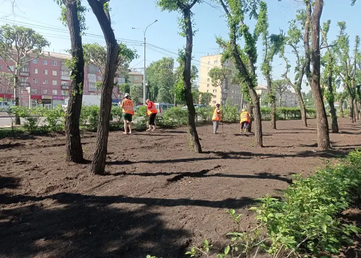 В Красноярске на променаде «Красноярского рабочего» высаживают газон