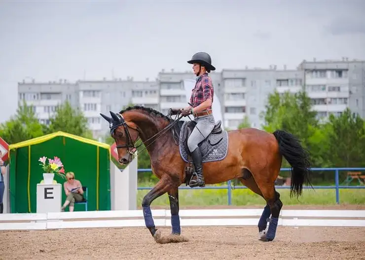 В Красноярске пройдёт Кубок главы города по конному спорту