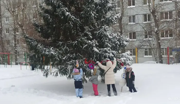 «Беречь природу и дружить домами». Красноярцы создают новогоднее настроение соседям и прохожим