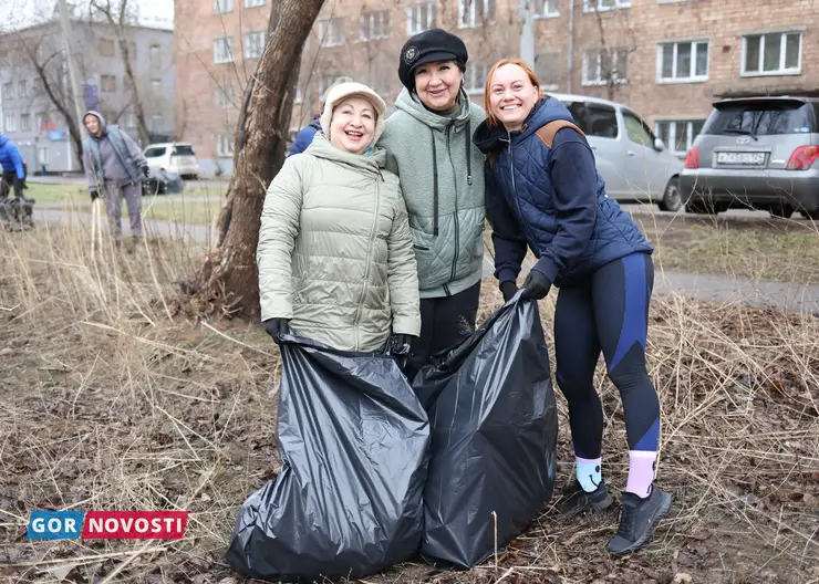 Общегородской субботник пройдет в Красноярске 21 сентября