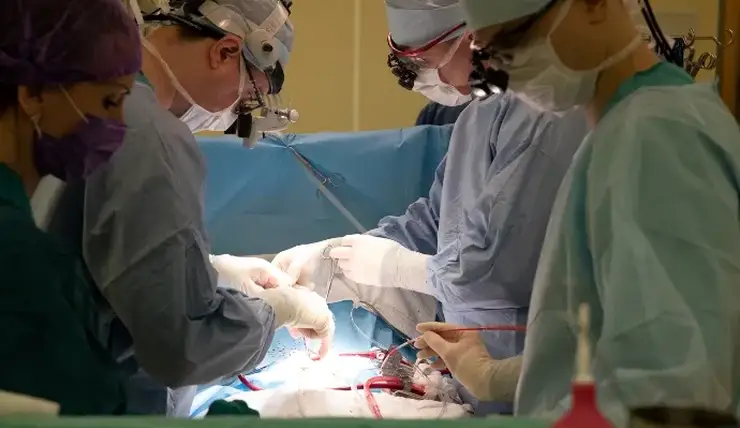 Красноярские кардиохирурги прооперировали 7-летнего ребенка с редким пороком сердца