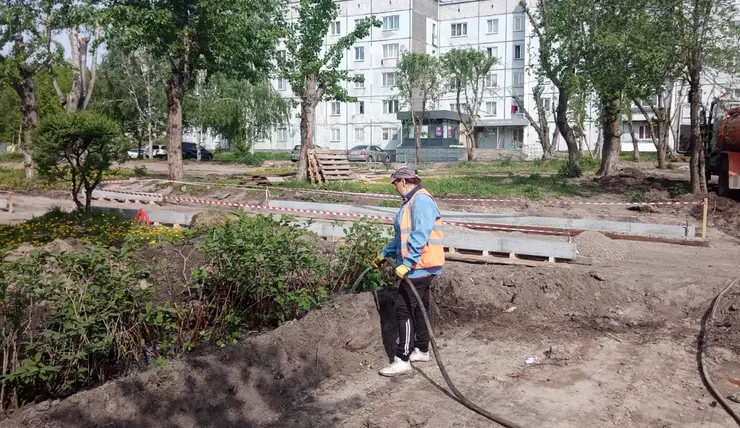 Красноярские озеленители приняли на обслуживание ещё 400 деревьев и кустарников