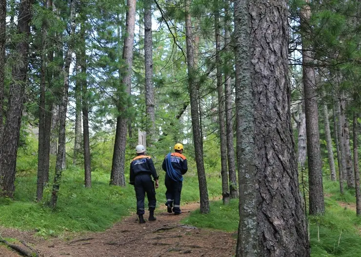 На севере Красноярского края в лесу потерялись мужчина и двое детей