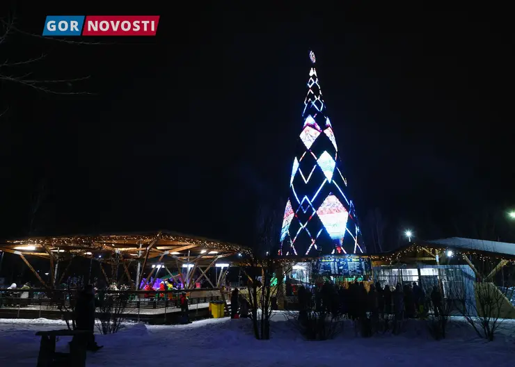 В Красноярске 25 декабря на острове Татышев открыли главную елку города