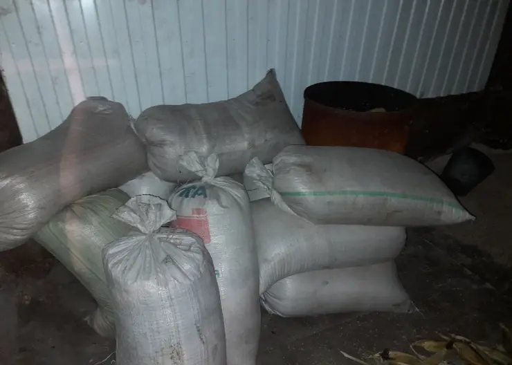 В Красноярском крае два парня украли четыре тонны пшеницы