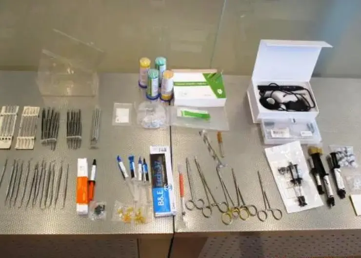 Красноярец пытался ввезти из Таджикистана более 1,3 тысячи нелегальных стоматологических инструментов