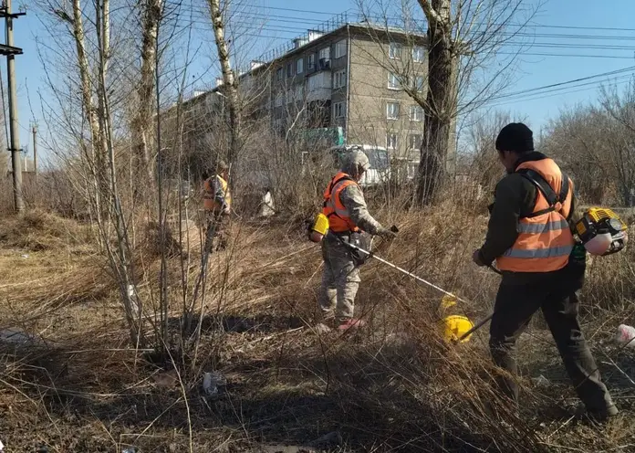 В Красноярске выбрали подрядчика для выкашивания сухой травы