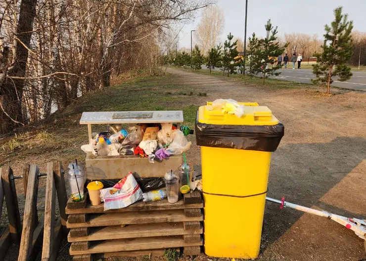 Глава города Владислав Логинов поручил тщательнее убирать общественные пространства в Красноярске