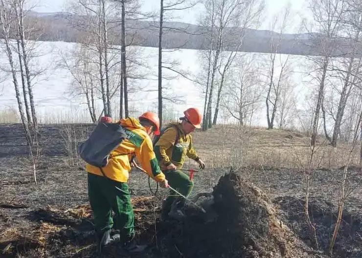 В Красноярском крае 6 мая начал действовать особый противопожарный режим