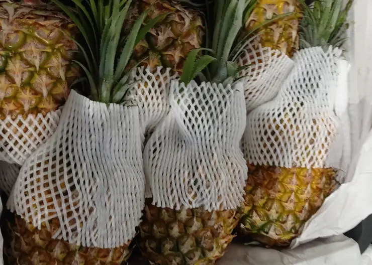 В Красноярск пытались ввезти 995 кг зараженных ананасов из Китая