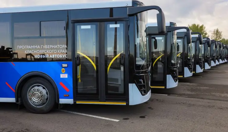 В Красноярске на шести маршрутах появятся новые автобусы