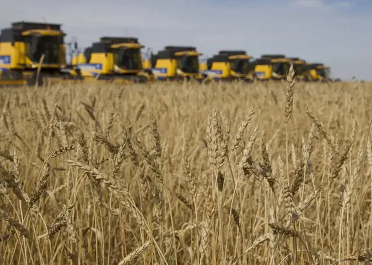 За 2023 год из Красноярского края за рубеж отправили 433 тысячи тонн сельскохозяйственной продукции