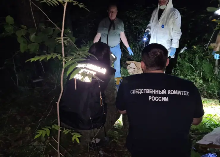 На месте убийства 16-летней девушки под Дивногорском нашли нож