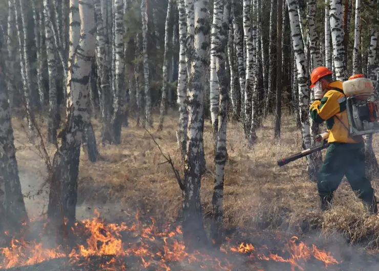 На территории еще четырех районов Красноярского края 12 мая ввели особый противопожарный режим