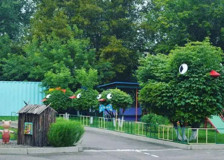 В Красноярске двор детского сада №319 украсили необычные кусты