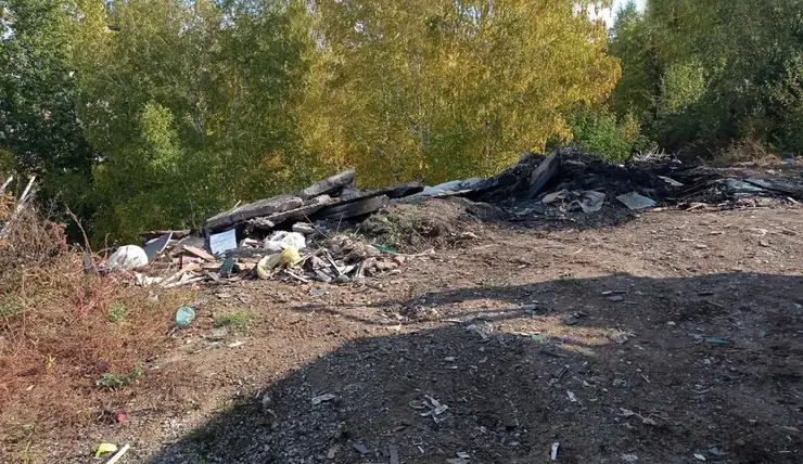 В Красноярском крае обязали убрать три несанкционированные свалки