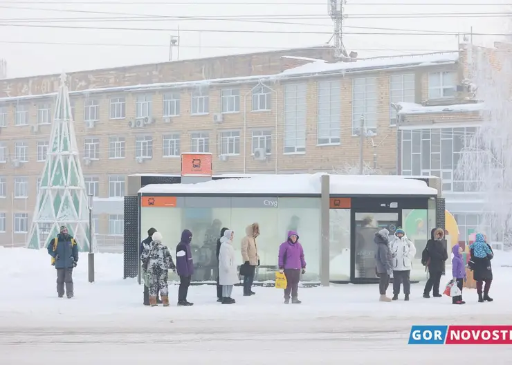 В Красноярский край за год из-за рубежа переехали более 600 соотечественников для работы