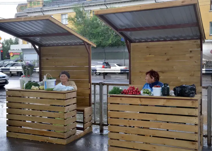 В Красноярске летом работало 75 мест уличной торговли
