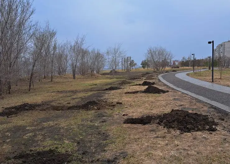 В Красноярске «Зеленый берег» на проспекте Ульяновский продолжат благоустраивать в 2023 году