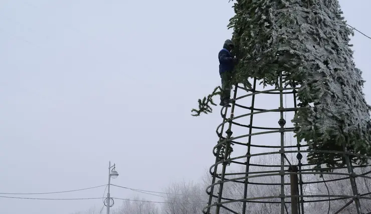 C 15 февраля в Красноярске начнут разбирать новогодние ёлки