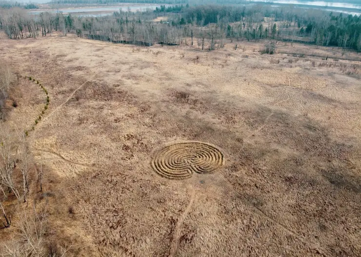 В Красноярске на острове Татышев обнаружены таинственные круги на полях