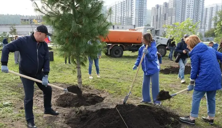 В микрорайоне «Тихие Зори» посадили 80 деревьев
