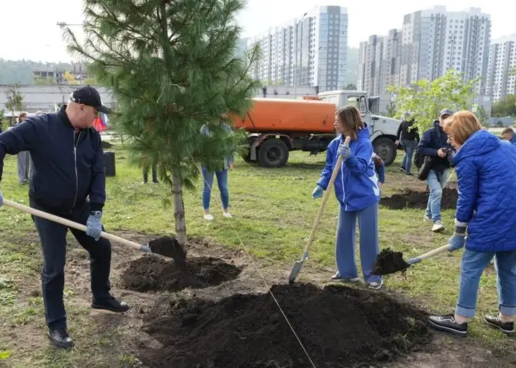 В микрорайоне «Тихие Зори» посадили 80 деревьев