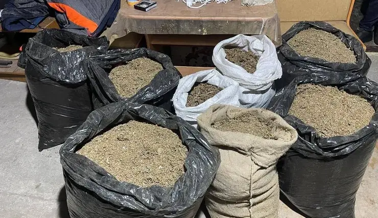 В Красноярском крае у мужчины нашли 49 кг марихуаны в утеплителе для крыши