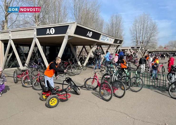 В Красноярске на острове Татышев появились первые пункты проката велосипедов