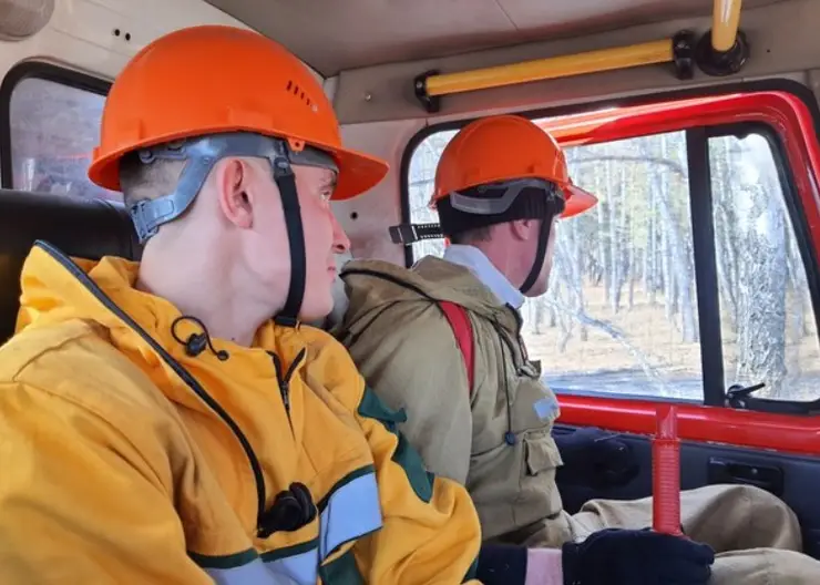 В этом году для Лесной охраны Красноярского края купят технику на 8,3 млн рублей