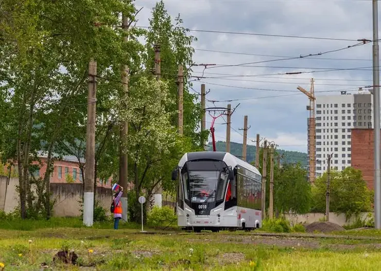 В Красноярске выбрали лучшего водителя трамвая