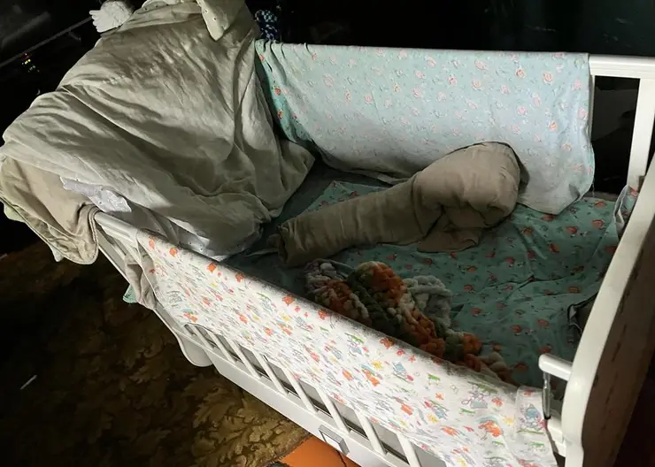 В Нижнеингашском районе края 8-месячный ребёнок погиб от падения из рук пьяного дедушки