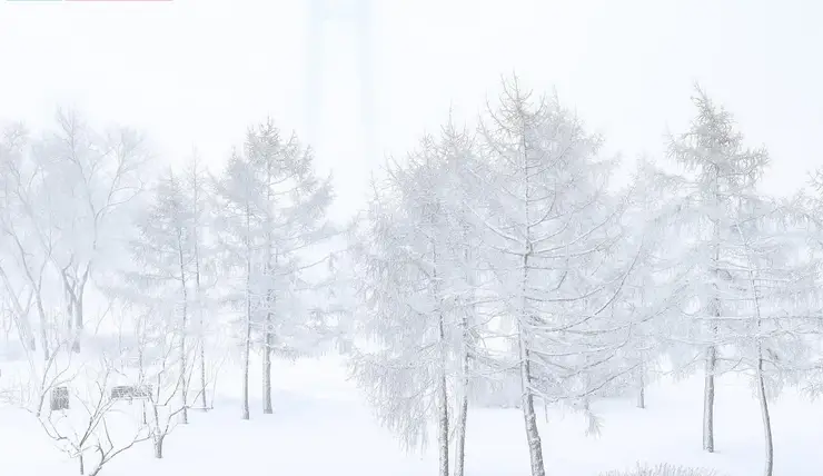 В центральных районах Красноярского края 21 января похолодает до -35 градусов