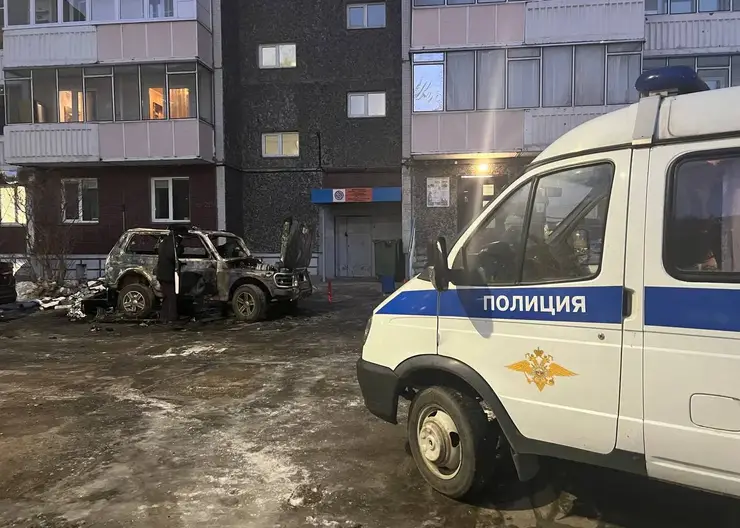 В Красноярске загорелась машина с двумя детьми