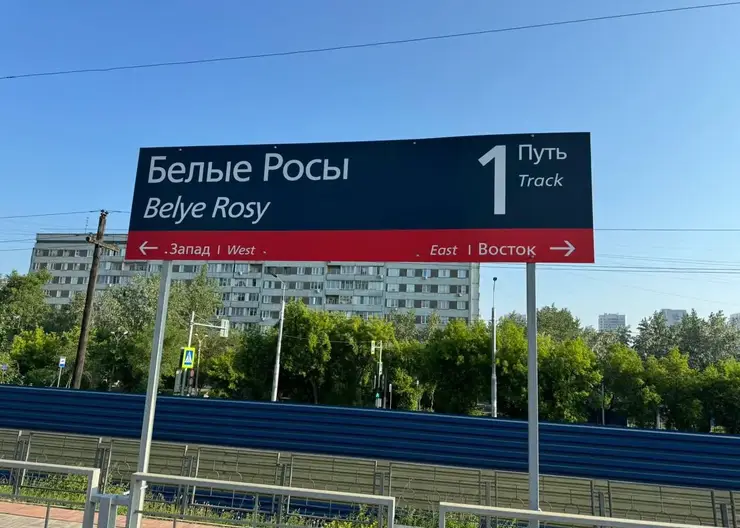 В Красноярске на станции Белые Росы поезд насмерть сбил мужчину