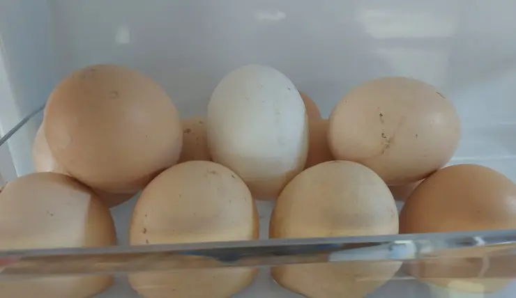 В Роспотребнадзоре по Красноярскому краю опровергли фейк о запрете поштучной продажи яиц