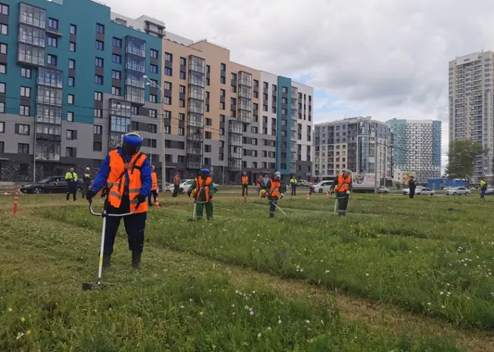 В Красноярске прошел конкурс профессионального мастерства среди косарей