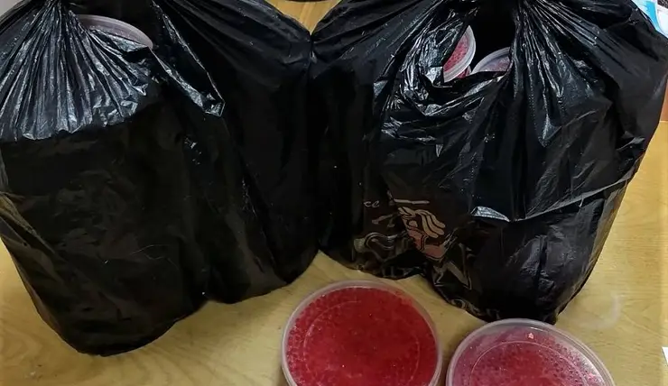 В Красноярском крае мужчина продавал имитированную красную икру под видом настоящей